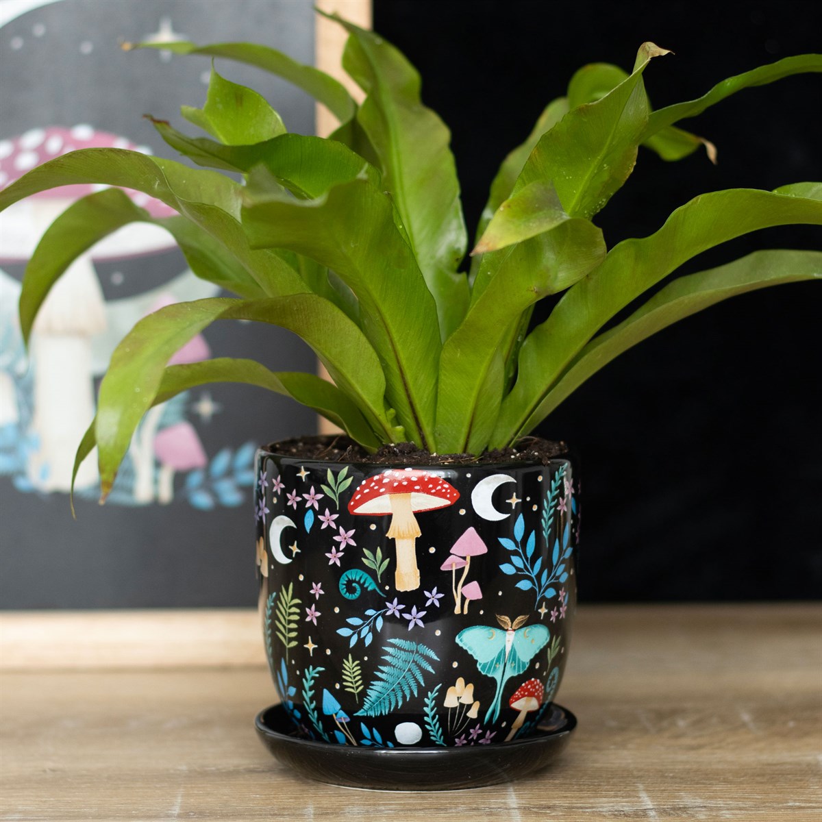 Dark Forest Print Ceramic Plant Pot (with Saucer) - Due Back End December 2024