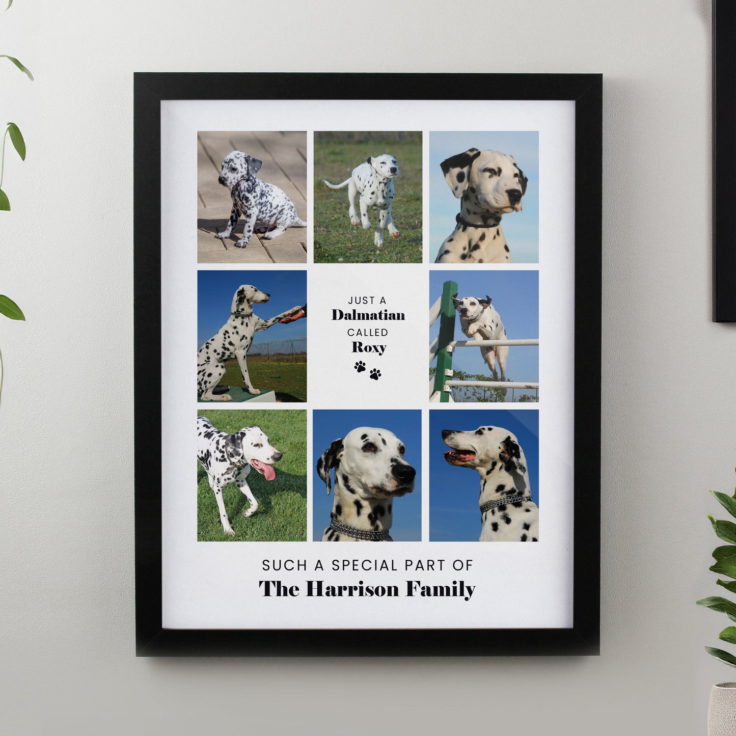 Personalised Pet Multi Photo Upload Framed Print - 3 Frame Designs Available