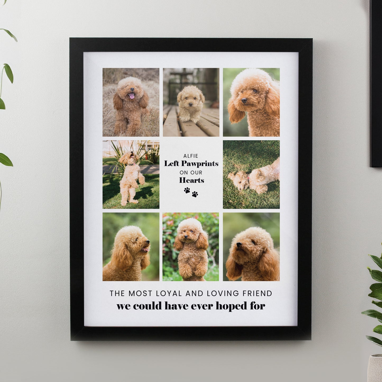 Personalised Pet Multi Photo Upload Framed Print - 3 Frame Designs Available