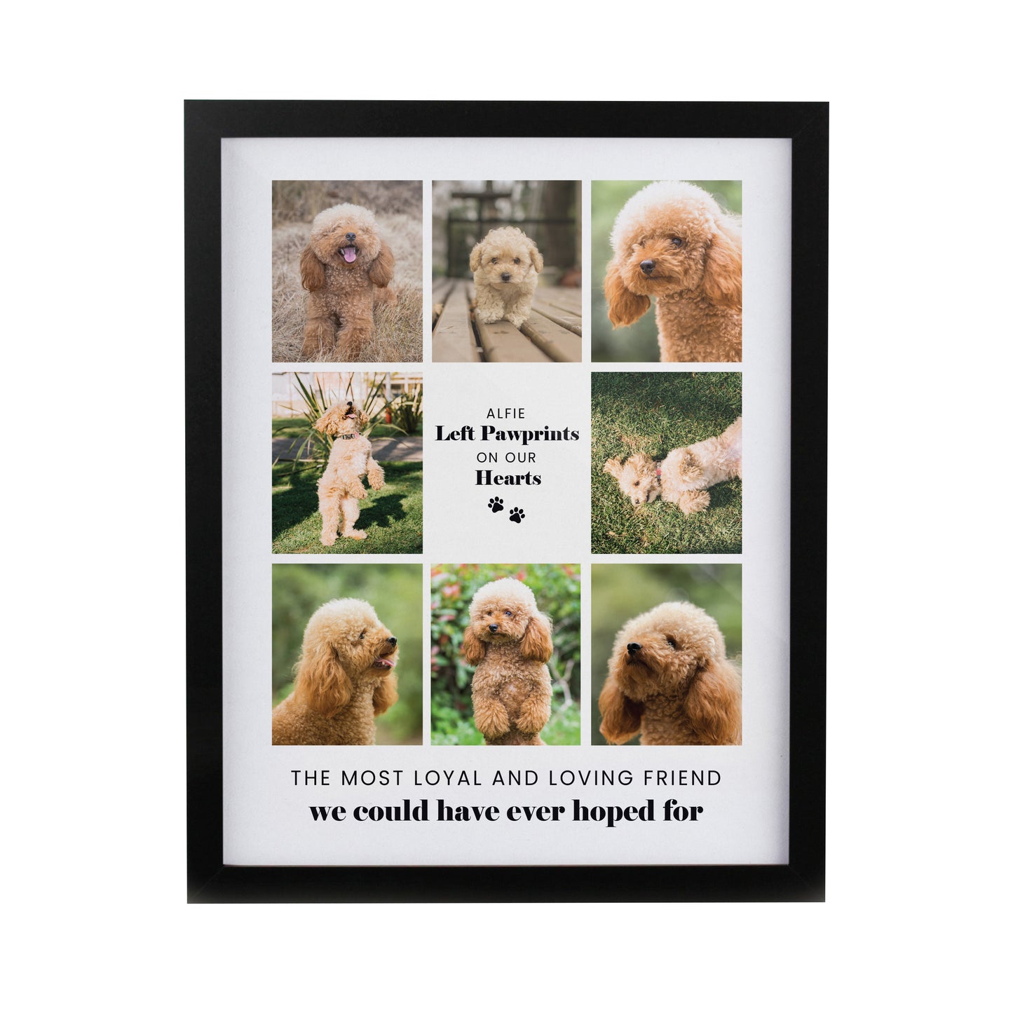 Personalised Pet Multi Photo Upload Framed Print - 3 Frame Designs Available