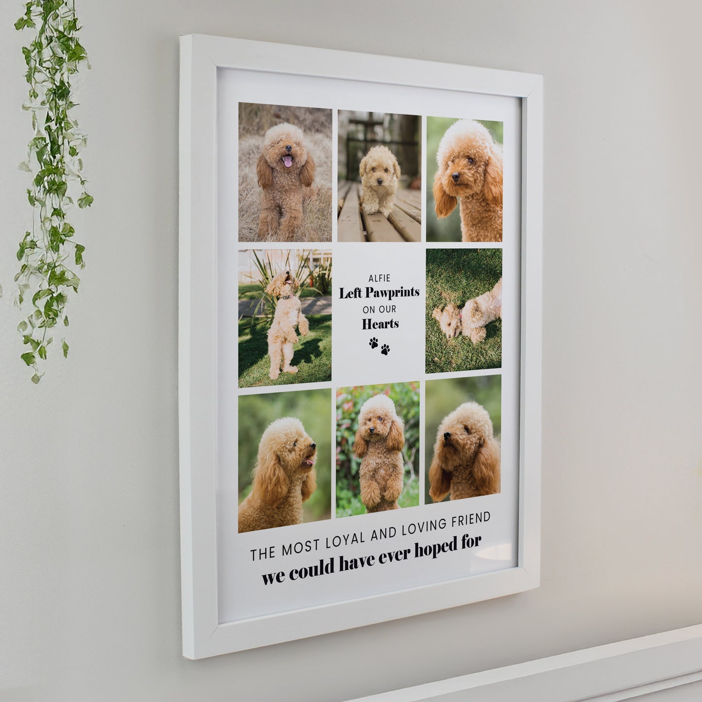 Personalised Pet Multi Photo Upload Framed Print - 3 Frame Designs Available