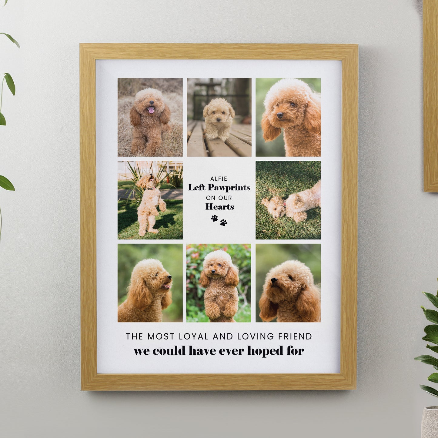 Personalised Pet Multi Photo Upload Framed Print - 3 Frame Designs Available