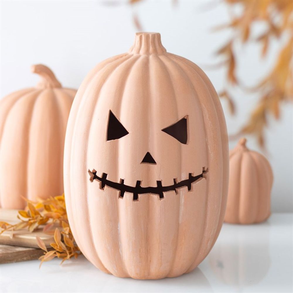 30cm Terracotta Pumpkin Ornament (Indoor/Outdoor use)