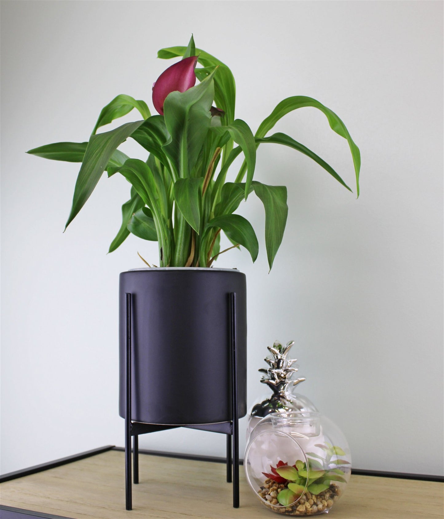 Black Planter Metal Stand 28cm - (Indoor or Outdoor Use)