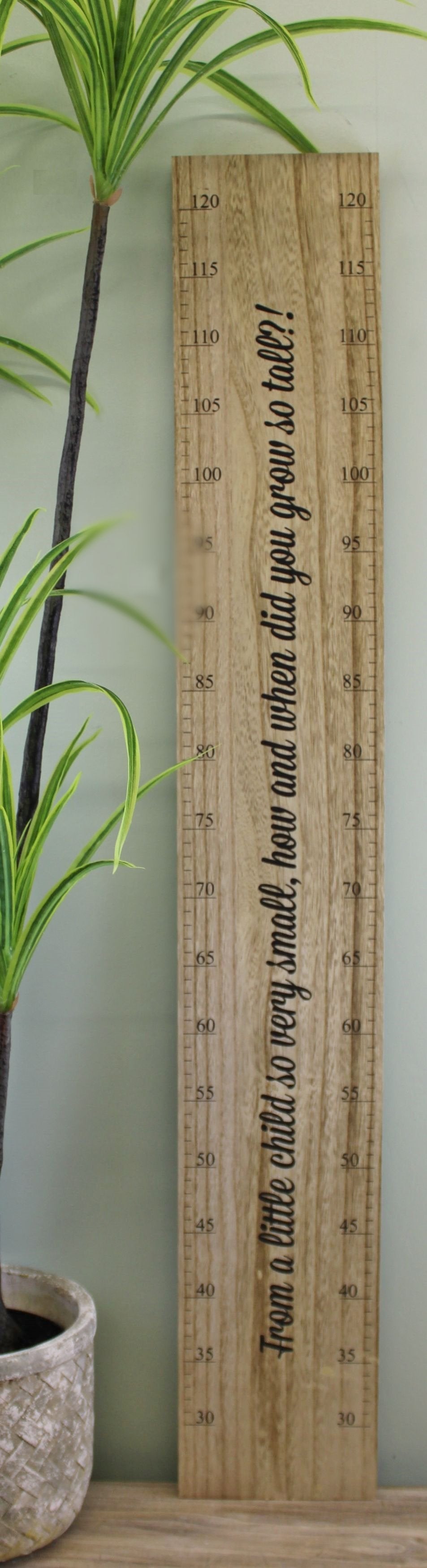 Height Chart Wall Plaque, How Did You Grow So Tall? (100cm) - UK Only